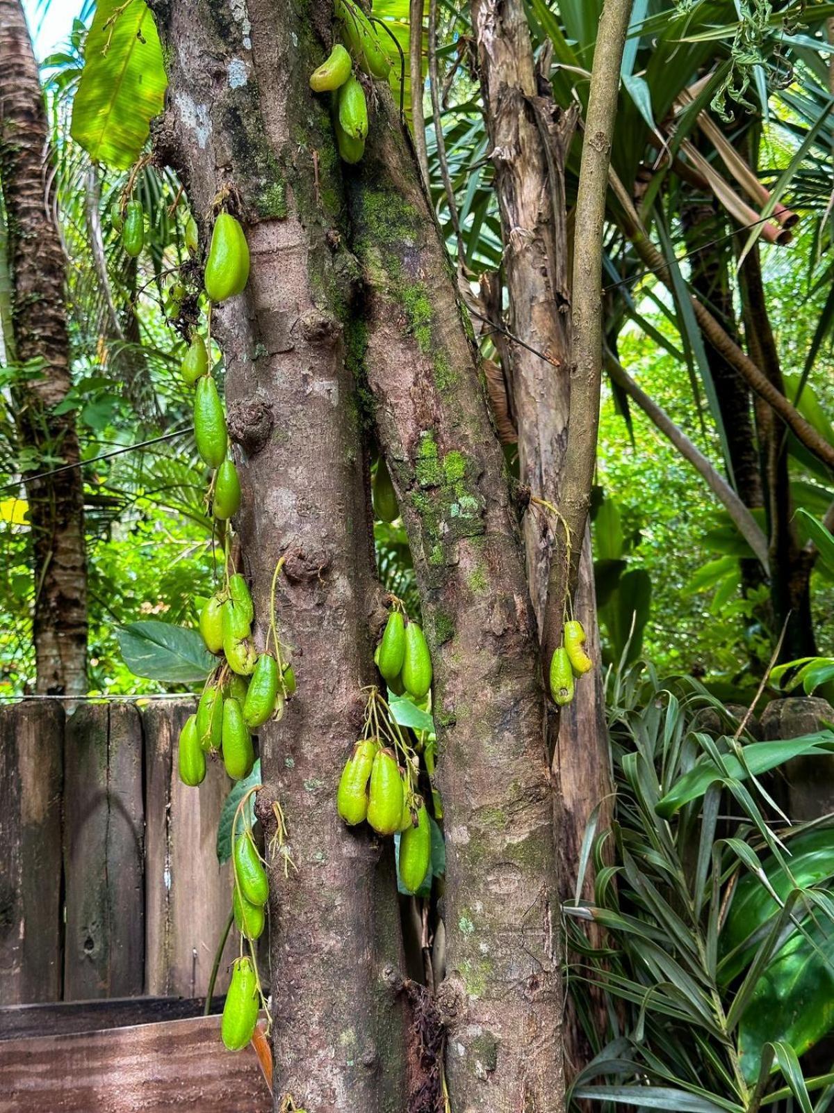 Casa Da Gloria Trancoso - Pousada Boutique Kültér fotó